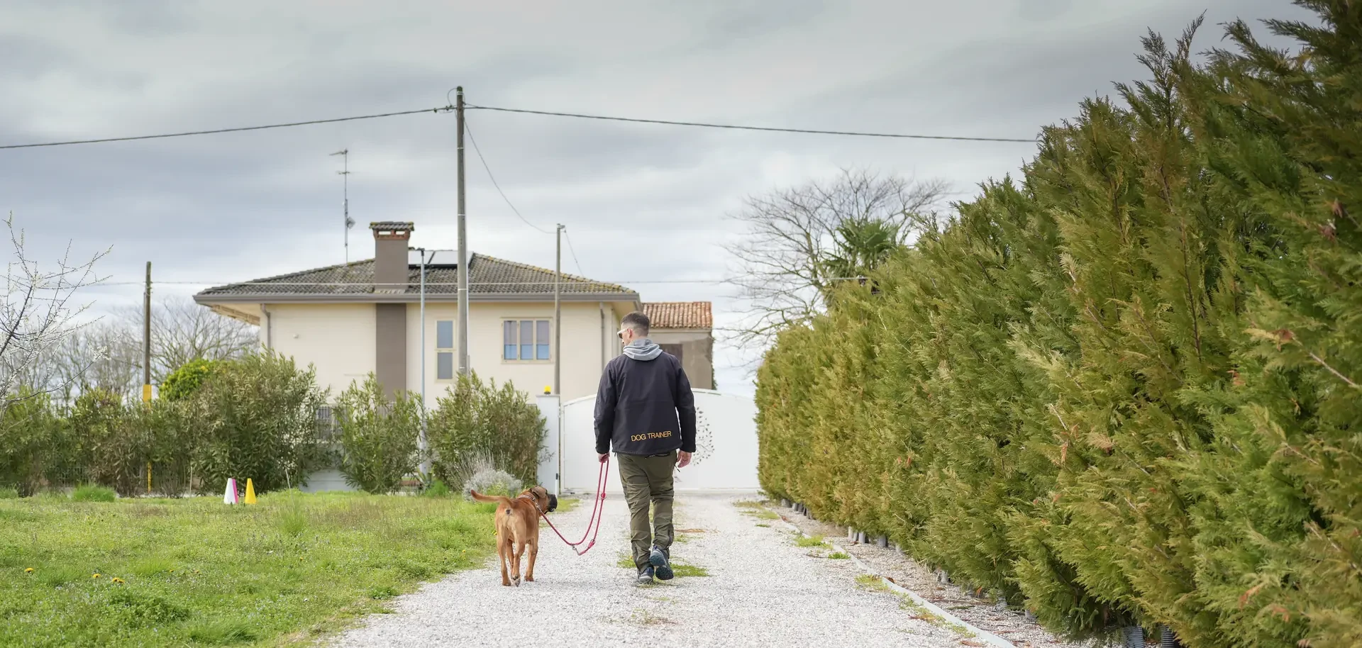 Un educatore lavora con un cane al guinzaglio lungo una strada di paese